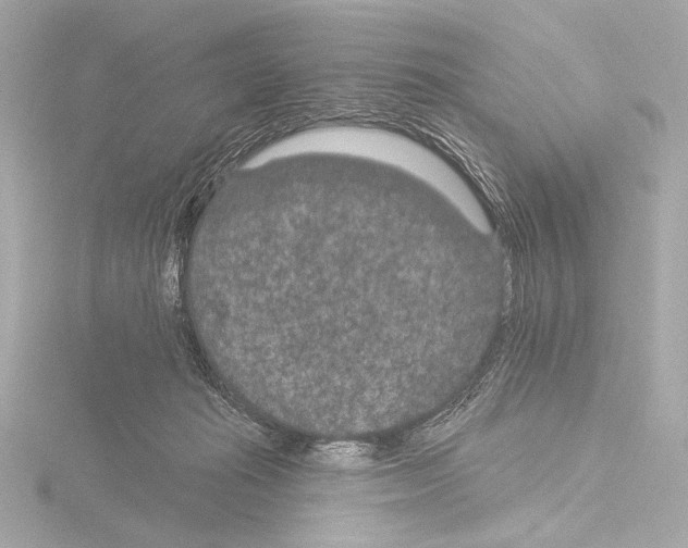 X0000115530269200912181533