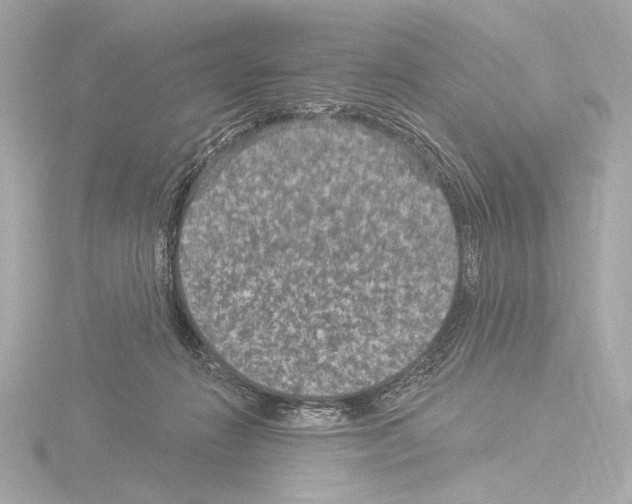 X0000115530270200912181533