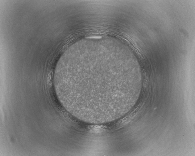 X0000115530273200912181533