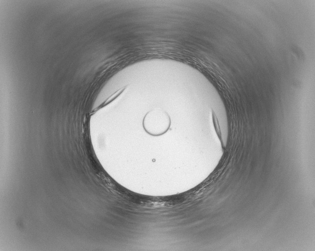 X0000115530276200912181533