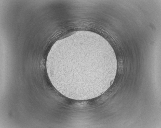 X0000115530278200912181533