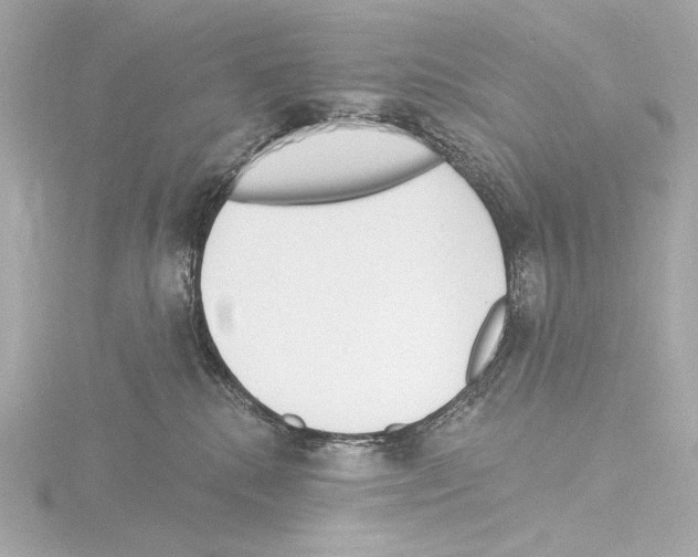 X0000115530280200912181533