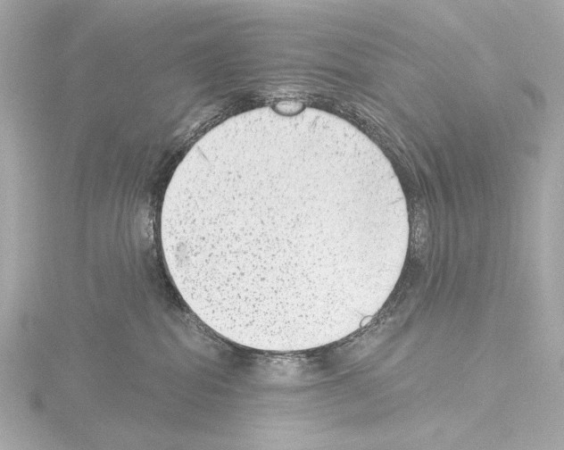 X0000115530282200912181533