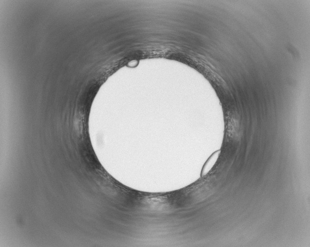 X0000115530283200912181533