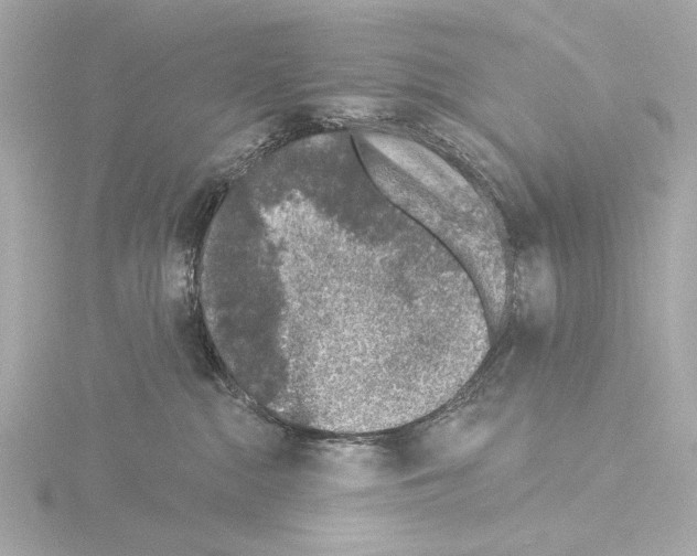 X0000115530284200912181533