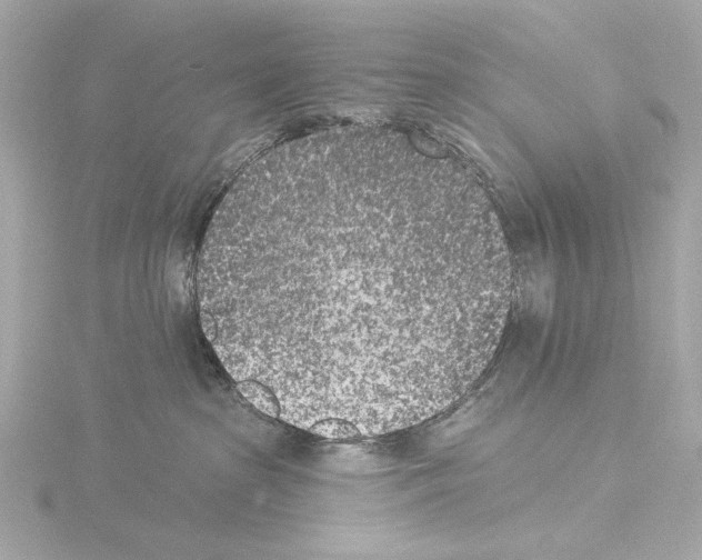 X0000115530285200912181533