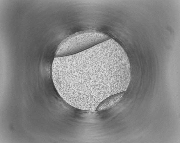 X0000115530288200912181533