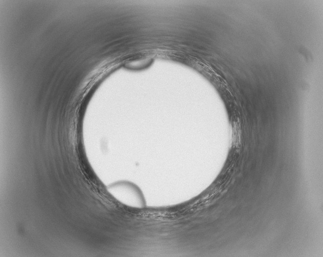 X0000115530291200912181532