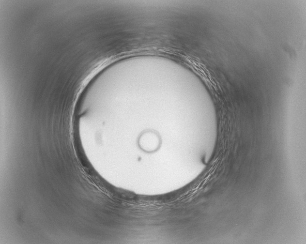 X0000115530292200912181532