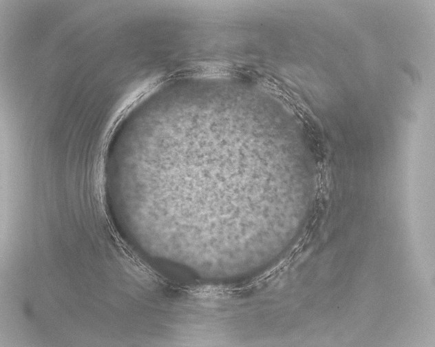 X0000115530293200912181532