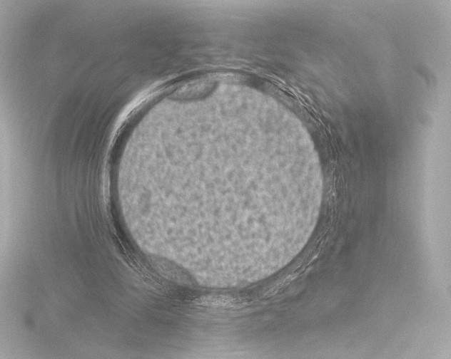 X0000115530294200912181532