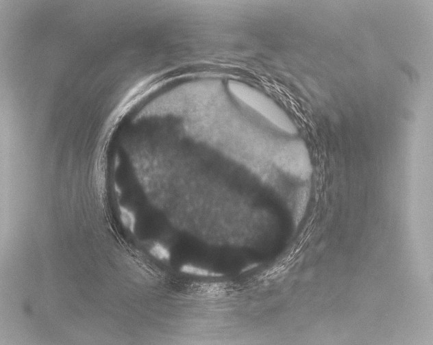 X0000115530295200912181532