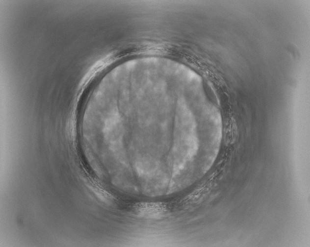 X0000115530296200912181532