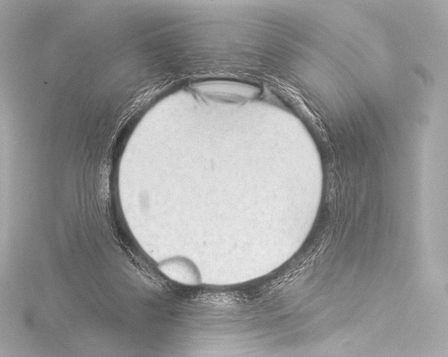 X0000115530299200912181532