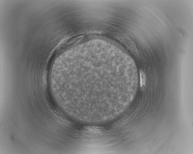 X0000115530300200912181532