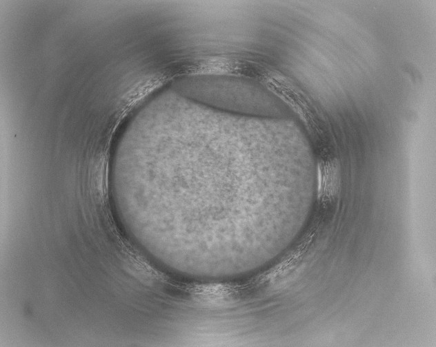 X0000115530301200912181532