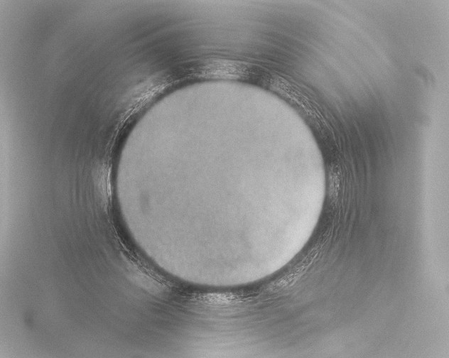 X0000115530302200912181532