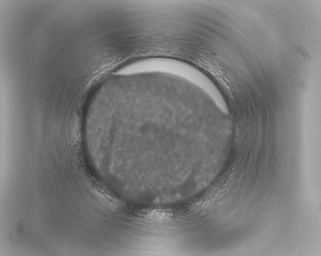 X0000115530303200912181532