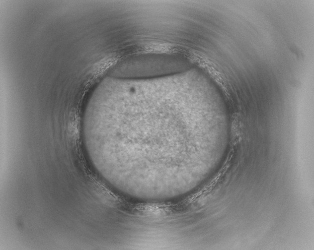 X0000115530305200912181532