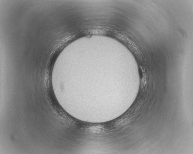 X0000115530306200912181532