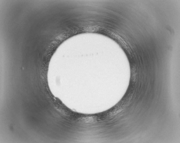 X0000115530307200912181532