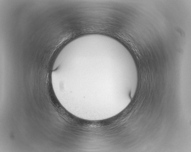 X0000115530308200912181532