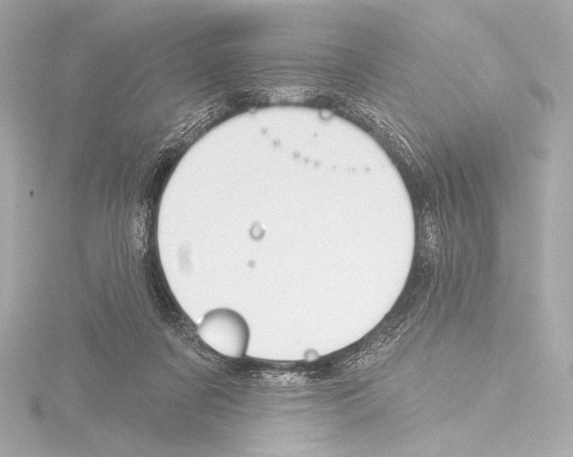 X0000115530311200912181532