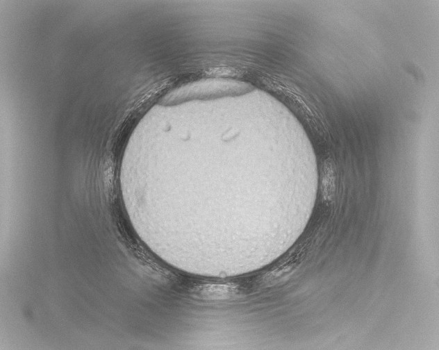 X0000115530314200912181532