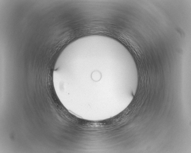 X0000115530316200912181532