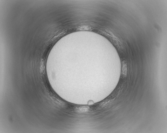 X0000115530318200912181532