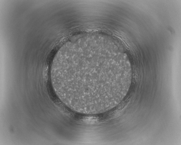 X0000115530319200912181532