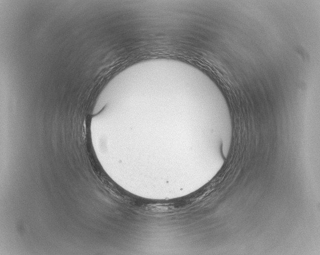 X0000115530320200912181532