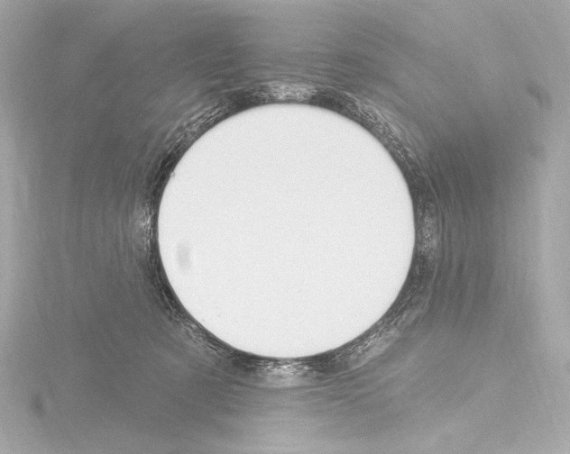 X0000115530321200912181532