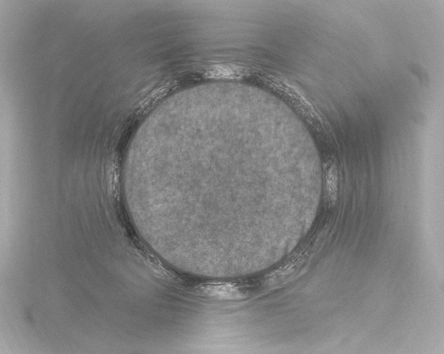 X0000115530322200912181532