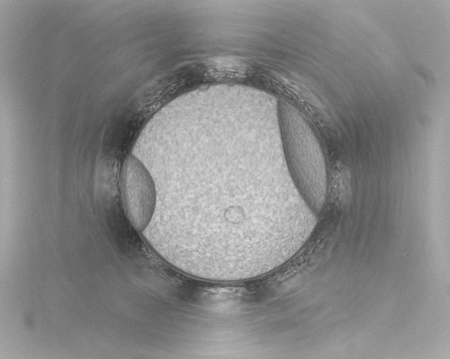 X0000115530323200912181532