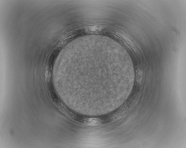 X0000115530324200912181532