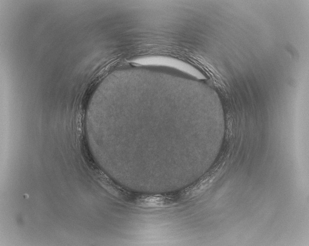 X0000115530325200912181532