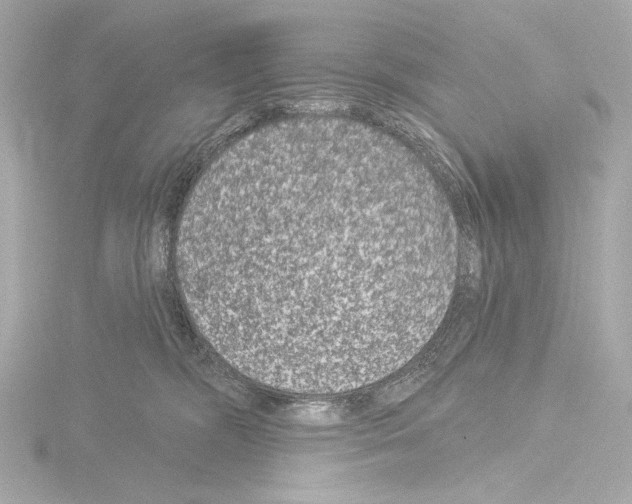 X0000115530326200912181532