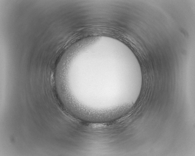 X0000115530327200912181532