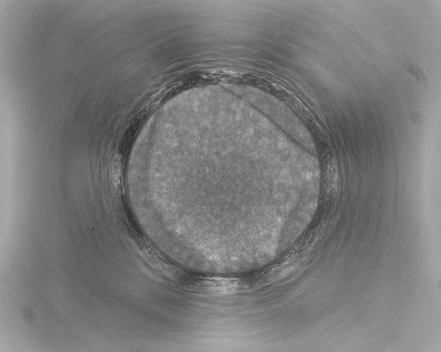 X0000115530328200912181532