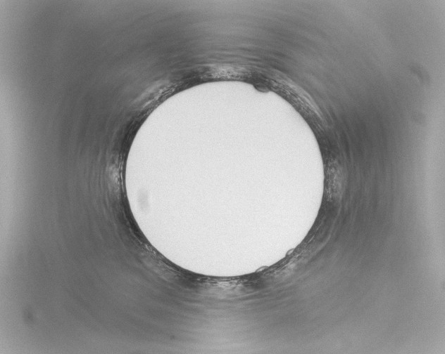 X0000115530329200912181532