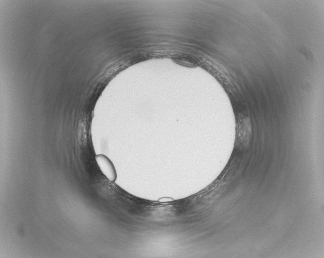 X0000115530333200912181532