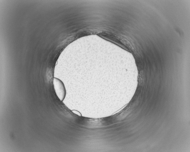 X0000115530335200912181532