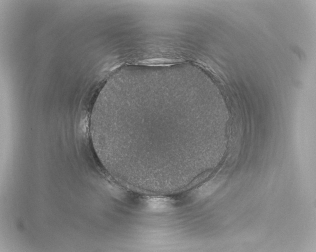 X0000115530336200912181532