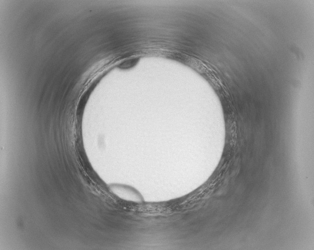 X0000115530338200912181531