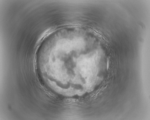 X0000115530339200912181531