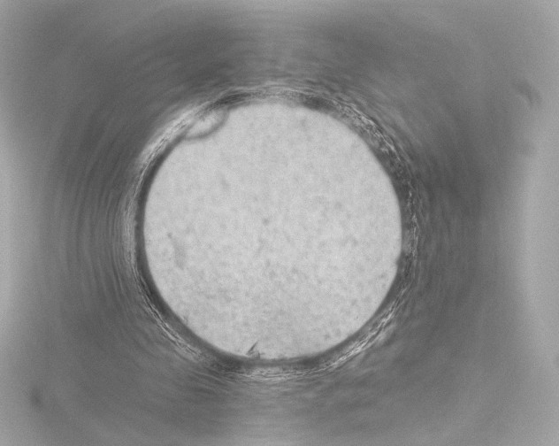 X0000115530341200912181531