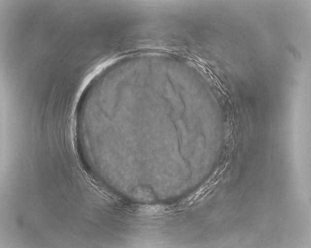 X0000115530342200912181531