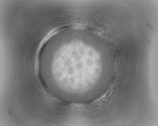 X0000115530343200912181531