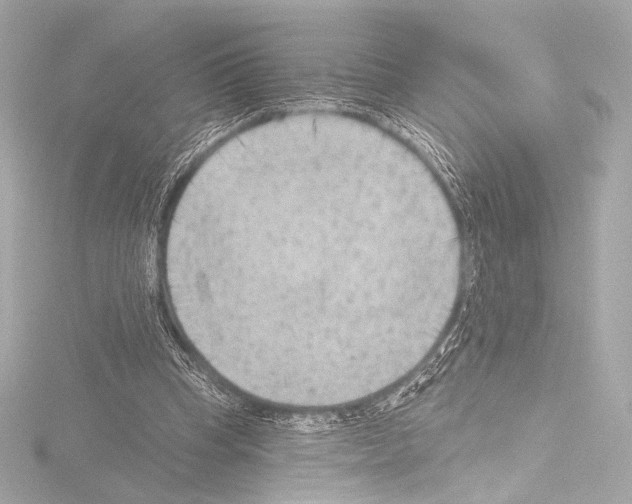 X0000115530345200912181531